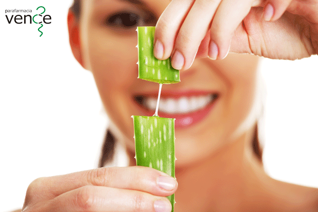 ¿Quita el aloe vera las cicatrices?